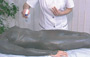 Zabiegi SPA