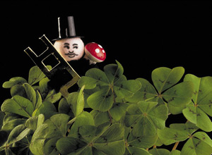Mity i nieprawdy